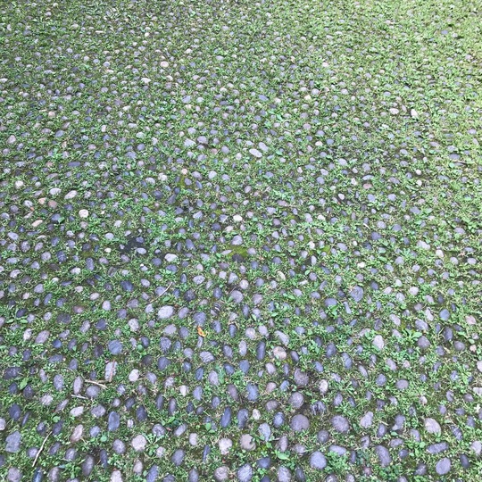 Green cobble stone floor Milano... #Milano #reference #natural